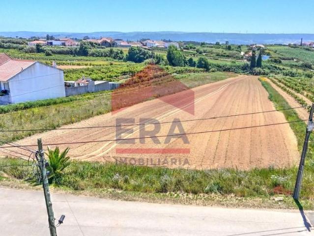 Terreno venda em Óbidos, Leiria