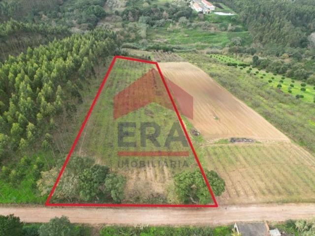 Terreno venda em Óbidos, Leiria