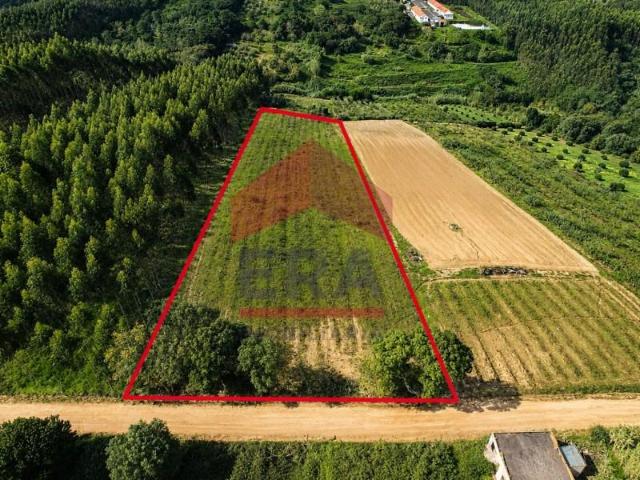 Terreno venda em Óbidos, Leiria