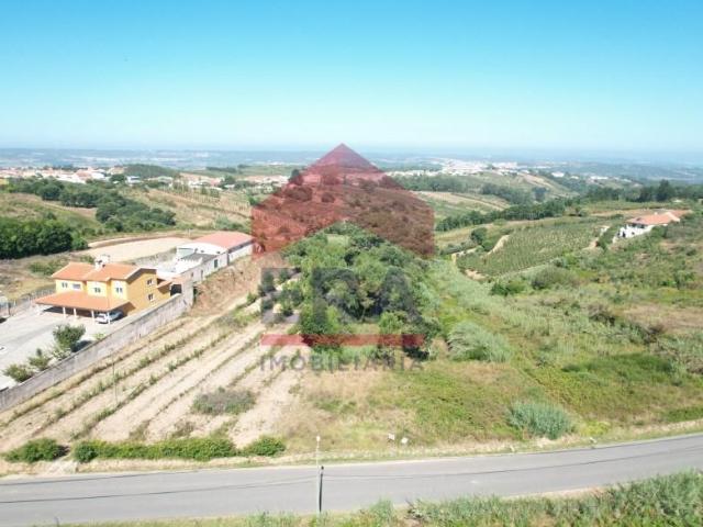 Terreno venda em Óbidos, Leiria