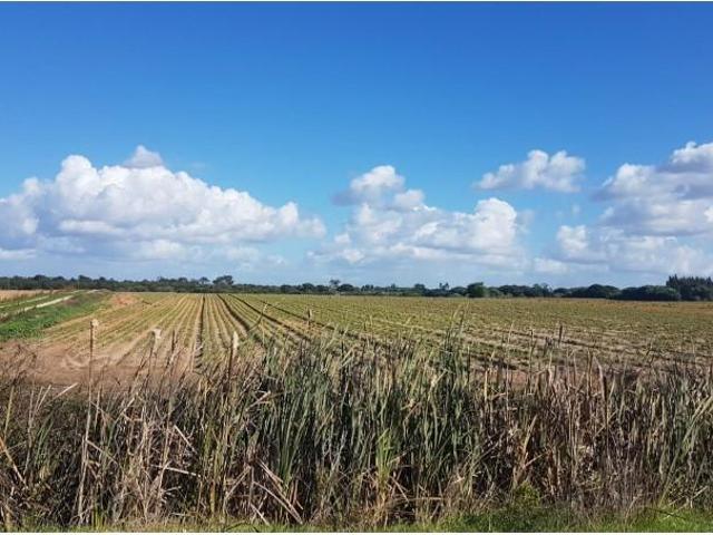 Terreno venda em Longueira, Odemira
