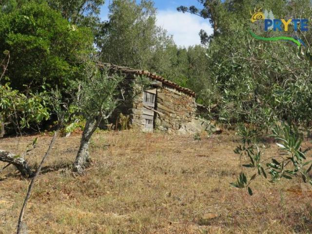 Terreno venda em Grovelas São João Evangelista, Viana Do Castelo
