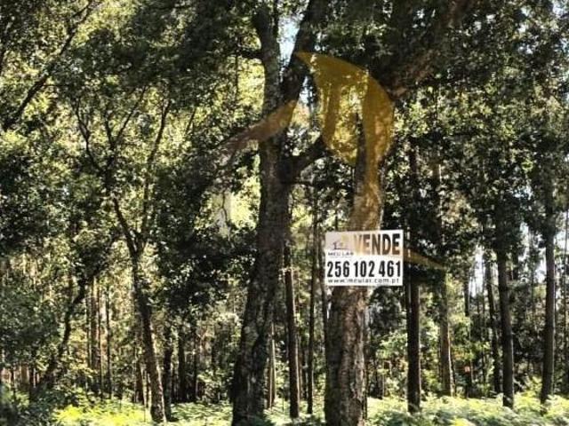 Terreno venda em Oliveira De Azeméis, Aveiro