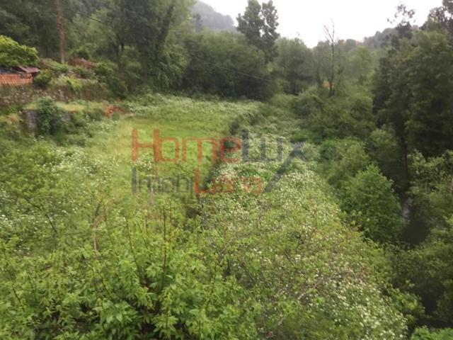Terreno venda em Oliveira De Azeméis, Aveiro