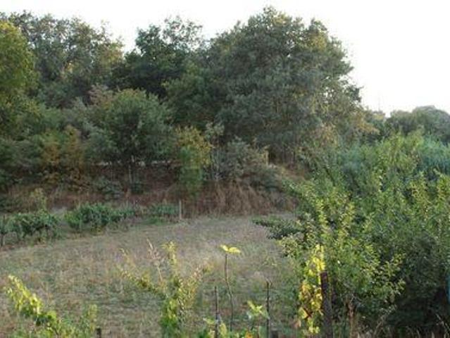 Terreno venda em Quinta Vale Dona Clara, Nogueira Do Cravo