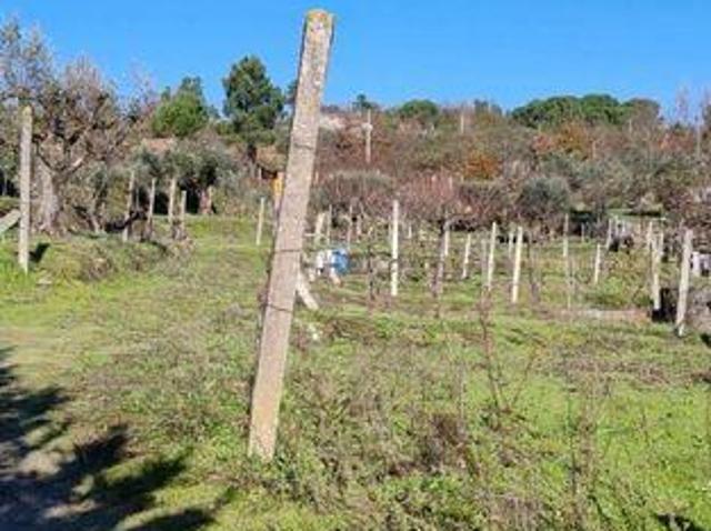 Terreno venda em Gavinhos de Cima, Oliveira Do Hospital