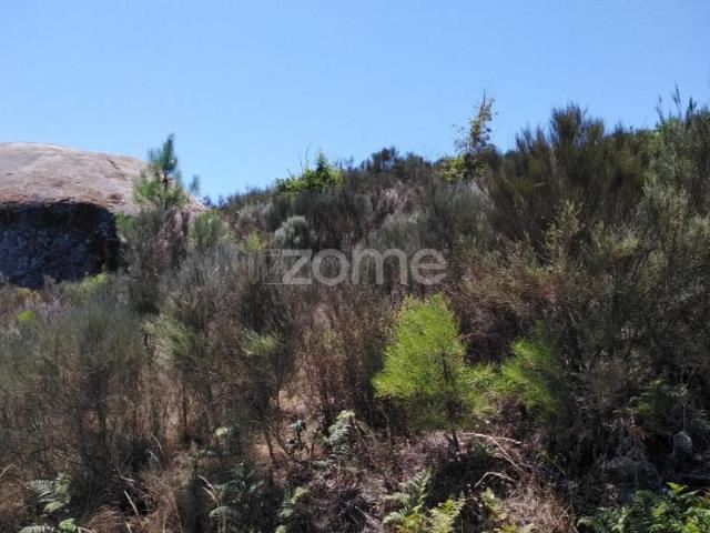 Terreno venda em Oliveira Do Hospital, Coimbra