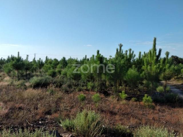 Terreno venda em Oliveira Do Hospital, Coimbra