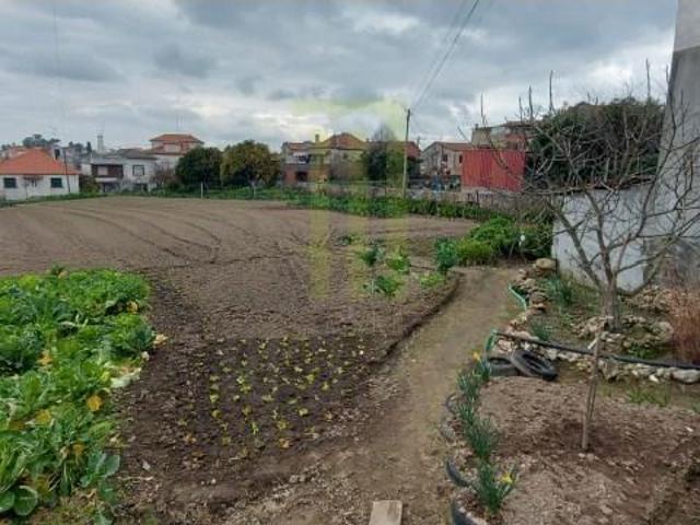 Terreno venda em Oliveira Do Hospital, Coimbra