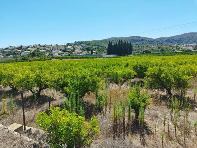 Terreno en venta en Blanca, Región de Murcia
