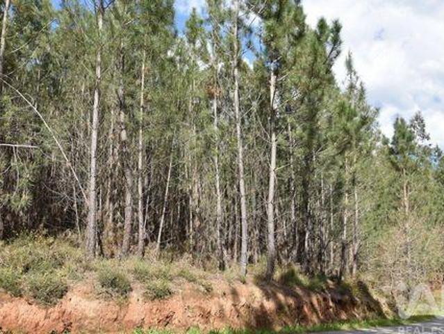 Terreno venda em Várzea da Cacinheira, Ourém