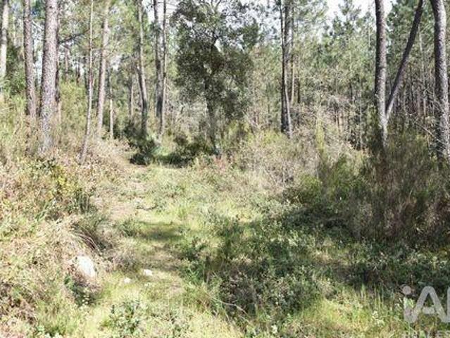 Terreno venda em Várzea da Cacinheira, Ourém