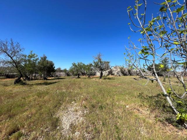 Terreno venda em Paderne, Faro