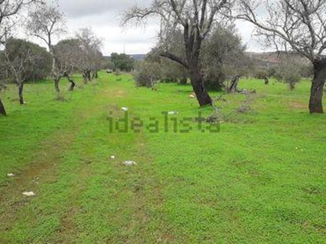 Terreno venda em Albufeira, Faro