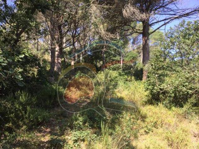 Terreno en venta en Sant Joan de Palamós, Baix Empordà