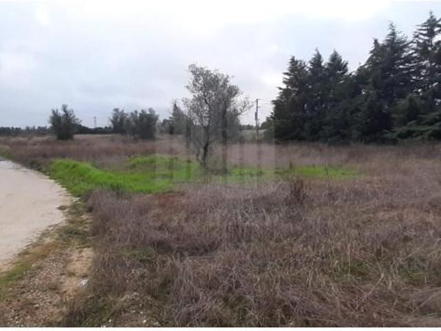 Terreno venda em Palmela, Setúbal