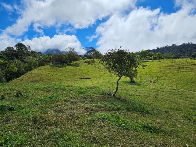 Terrenos Panorámicos en Cordillera Arriba, a Solo 15 Min de Volcán