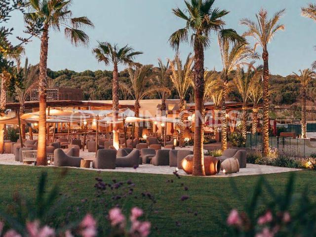 Terreno en venta en Sotogrande, Campo de Gibraltar