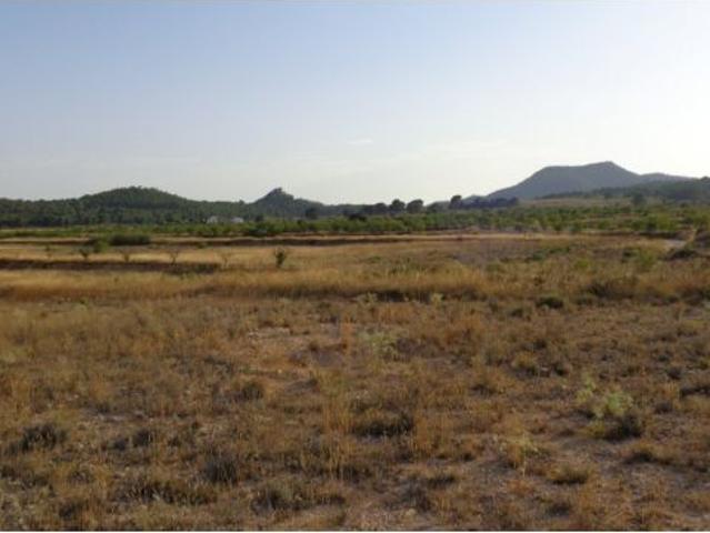 Local Comercial en venta en Cecilia Bartolomé (Mujeres Libres), l'Alt Vinalopó / El Alto Vinalopó
