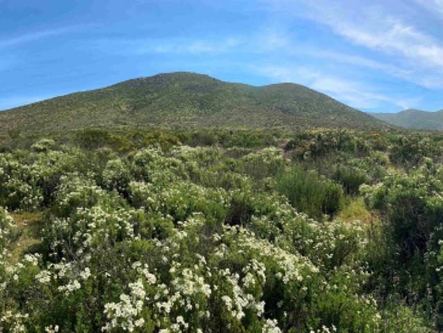 Terreno en venta en Coquimbo