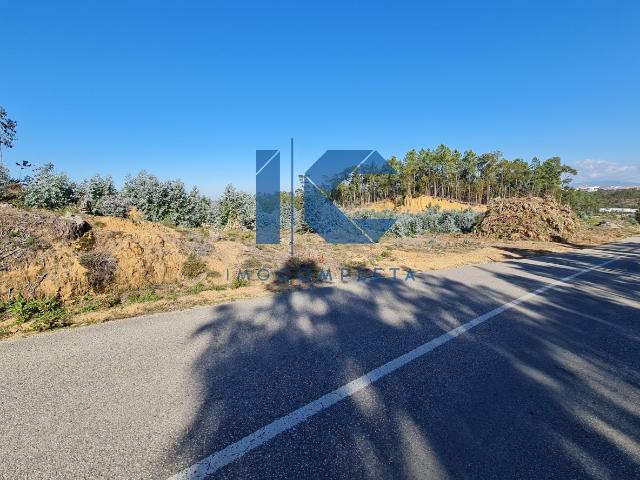 Terreno venda em Oliveira Do Bairro, Aveiro