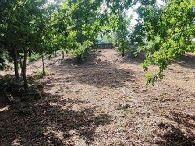 Terreno venda em Rubiães, Viana Do Castelo