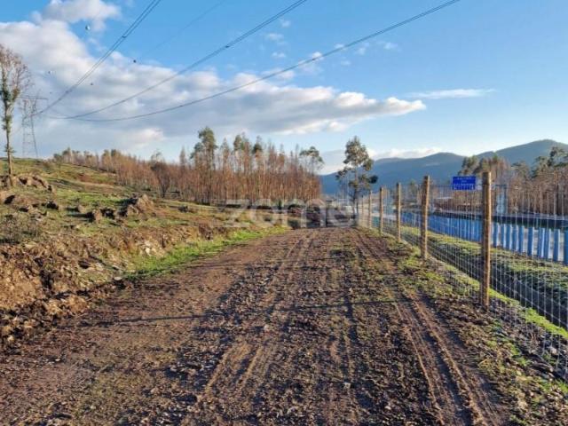 Terreno alugar em Paredes, Bitarães