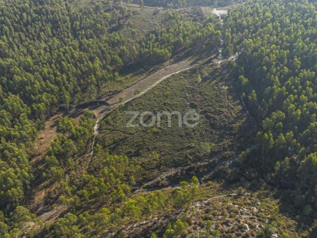 Terreno venda em Paredes, Bitarães