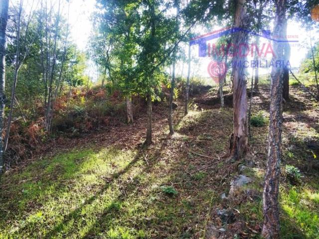 Terreno venda em Pedrógão Grande, Leiria