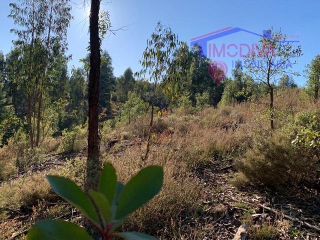 Terreno venda em Pedrógão Grande, Leiria