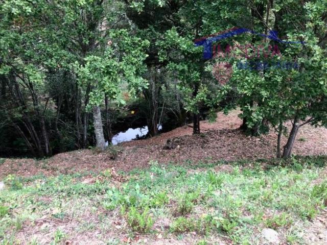 Terreno venda em Pedrógão Grande, Leiria