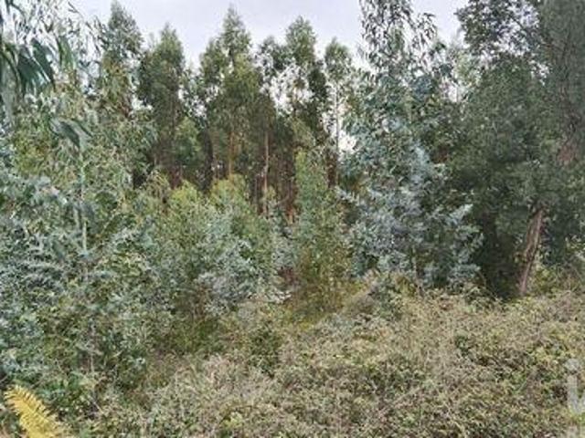 Terreno venda em Pedrógão Grande, Leiria