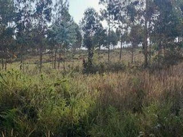 Terreno venda em Pedrógão Grande, Leiria