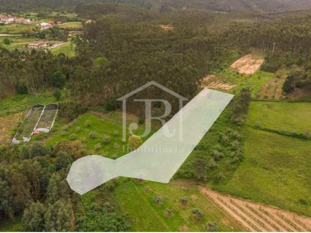 Terreno venda em Penacova, Coimbra