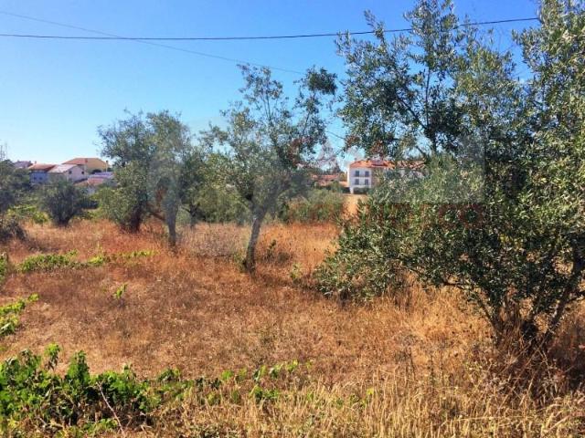 Terreno venda em Penacova, Coimbra
