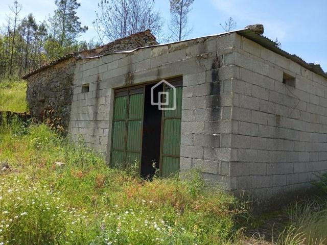 Terreno venda em Penalva Do Castelo, Viseu