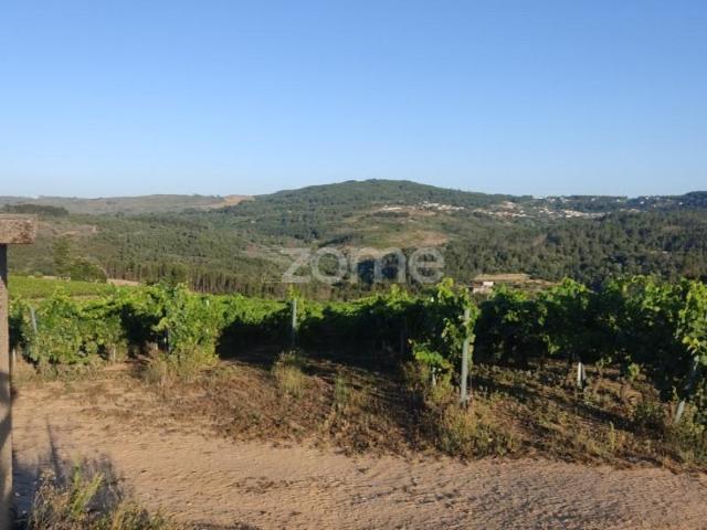 Terreno venda em Penalva Do Castelo, Viseu