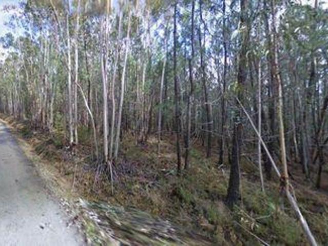 Terreno venda em Ribeira Velha, Figueiró Dos Vinhos