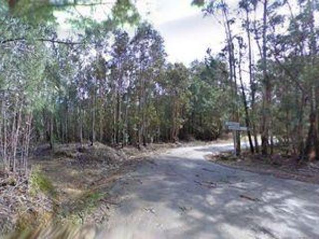 Terreno venda em Ribeira Velha, Figueiró Dos Vinhos