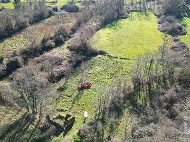 Terreno venda em Ribeira Velha, Figueiró Dos Vinhos