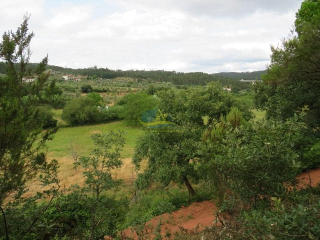 Terreno venda em Penela, Coimbra