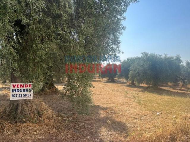 Terreno en venta en Peraleda De La Mata, Extremadura