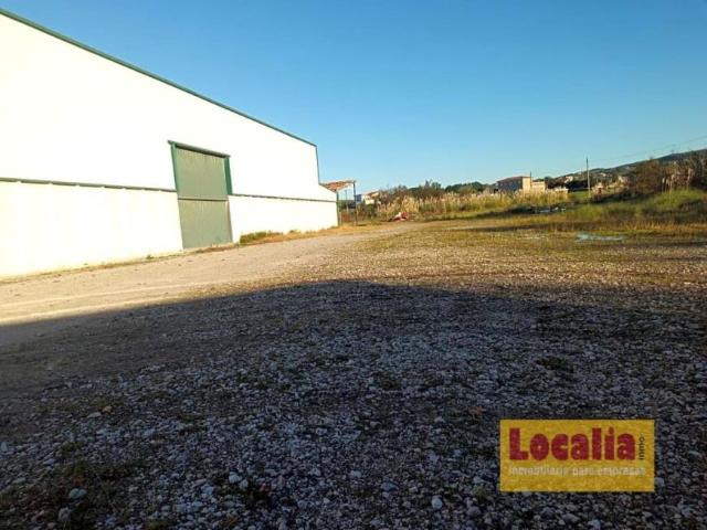 Terreno en alquiler en Polanco, Cantabria