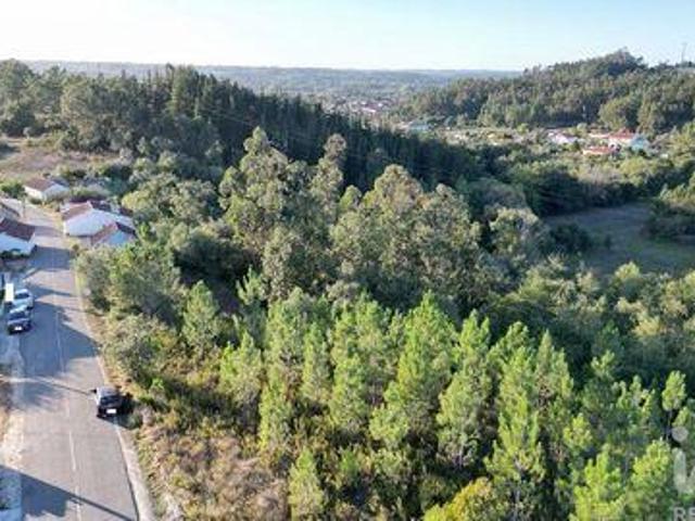 Terreno venda em Pombal, Pelariga