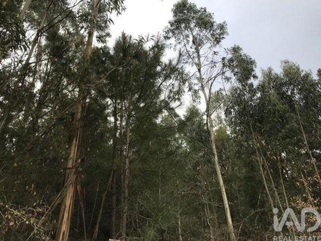 Terreno venda em Pombal, Leiria