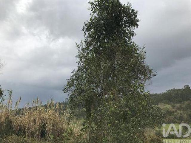 Terreno venda em Pombal, Leiria