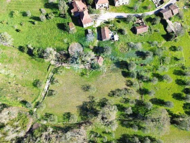 Terreno venda em Pombal, Leiria