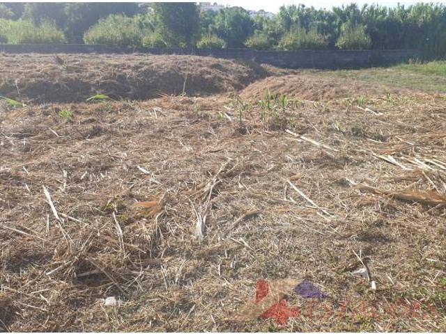 Terreno venda em Pombal, Leiria