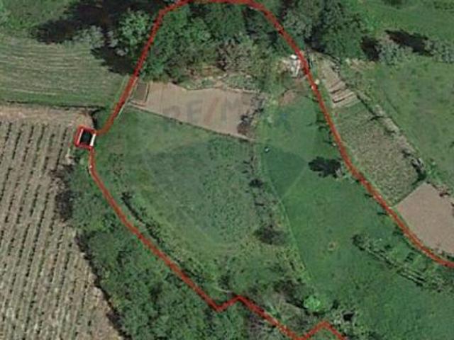 Terreno venda em Grovelas São João Evangelista, Viana Do Castelo