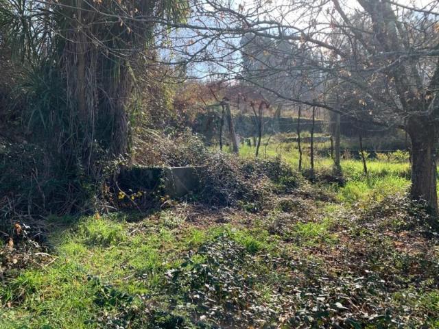 Terreno venda em Grovelas São João Evangelista, Viana Do Castelo